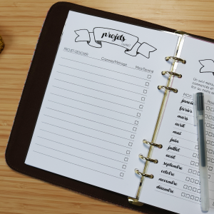 Pack Suivi Stash – Fiches PDF à imprimer