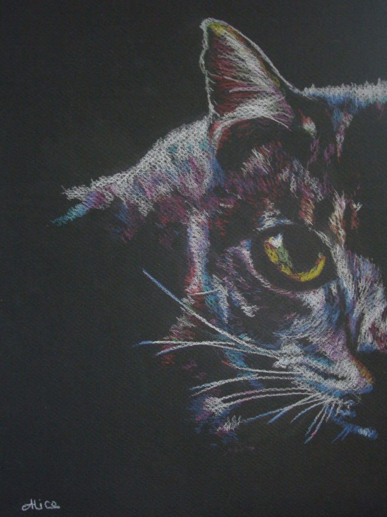 Pixel le chat aux crayons de couleur