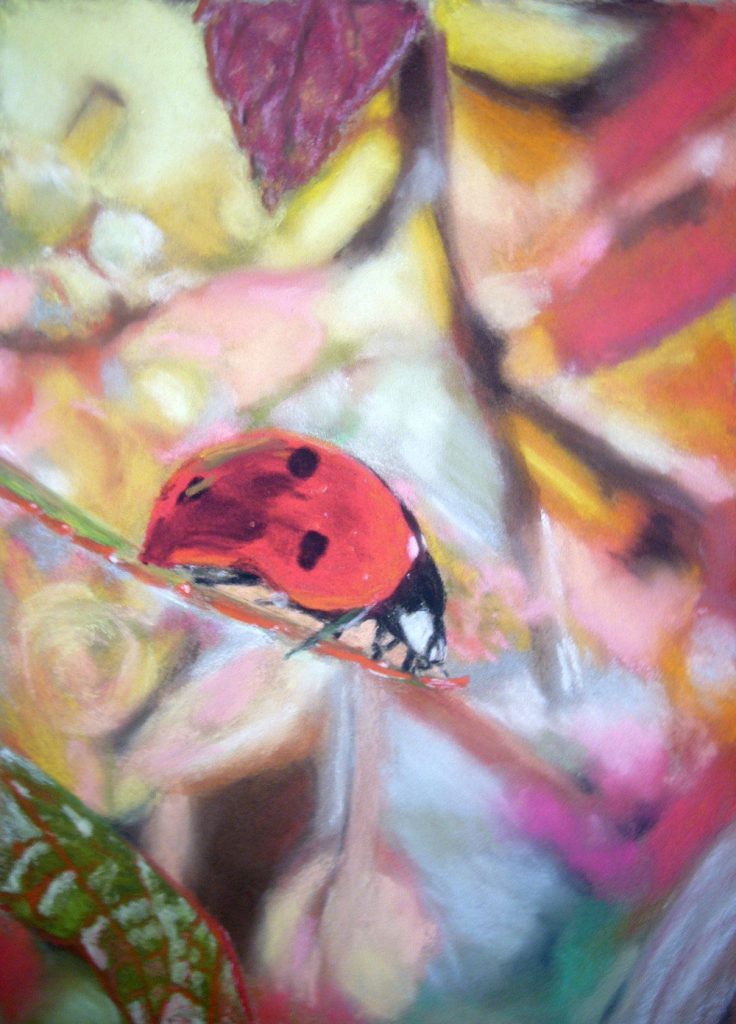 coccinelle aux pastels secs par Alice Gerfault