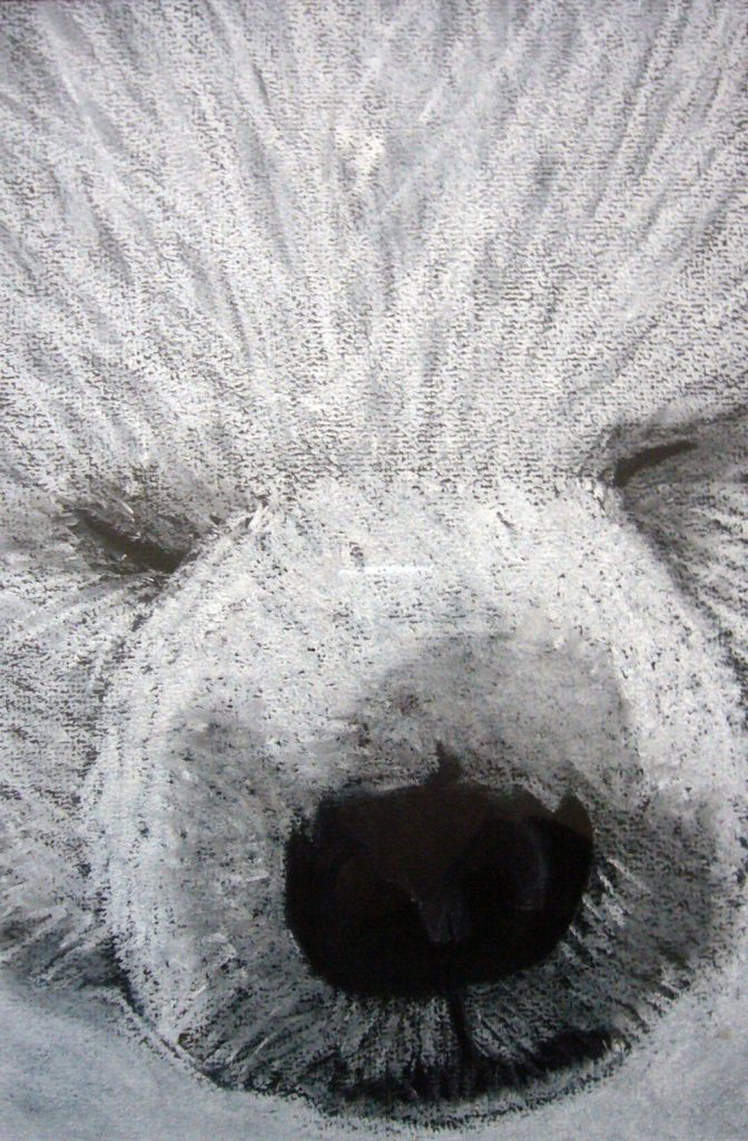 Ours Blanc aux pastels secs par Alice Gerfault